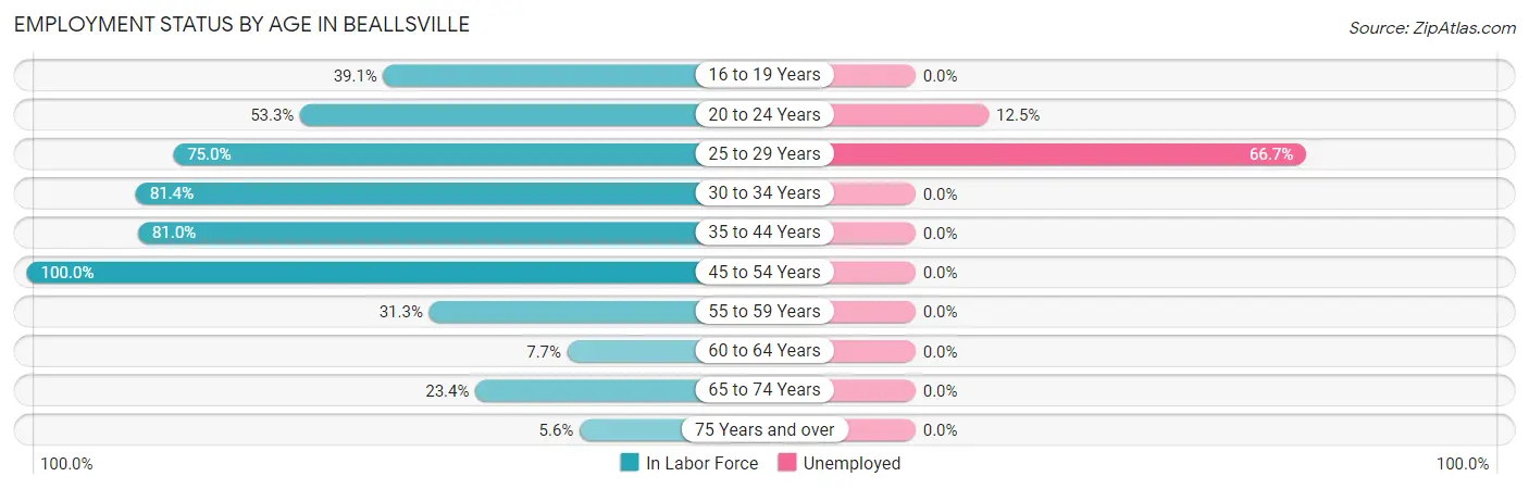 Employment Status by Age in Beallsville