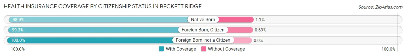 Health Insurance Coverage by Citizenship Status in Beckett Ridge
