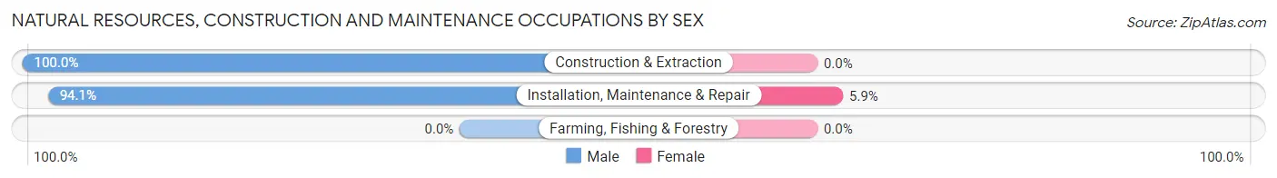 Natural Resources, Construction and Maintenance Occupations by Sex in Bedford Heights