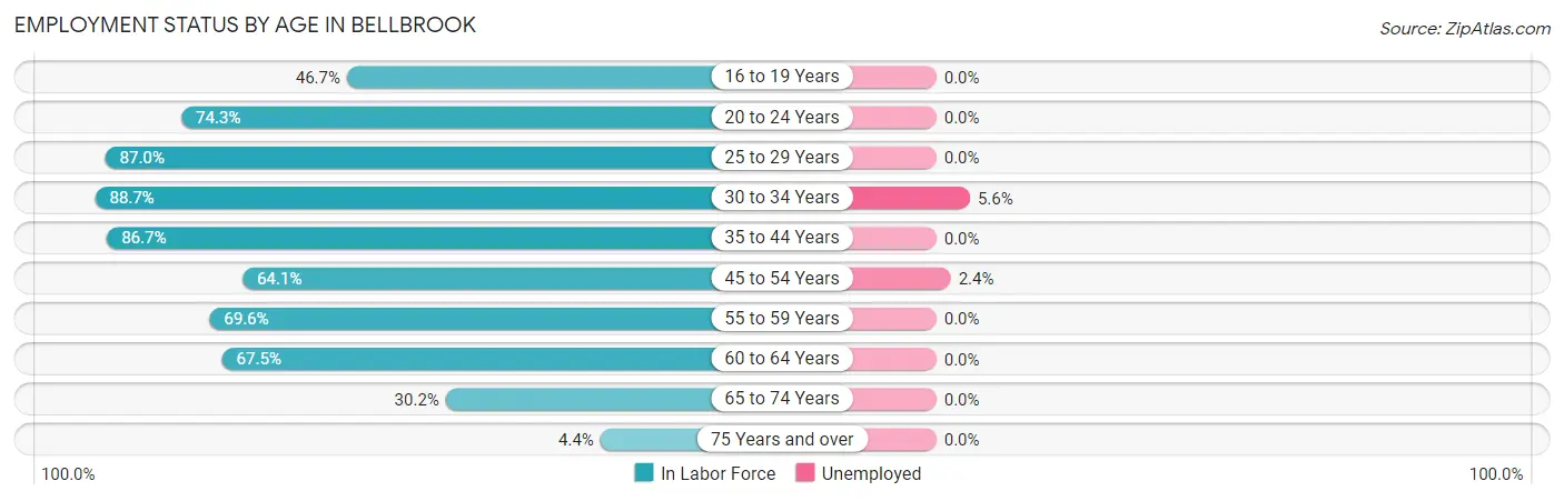 Employment Status by Age in Bellbrook