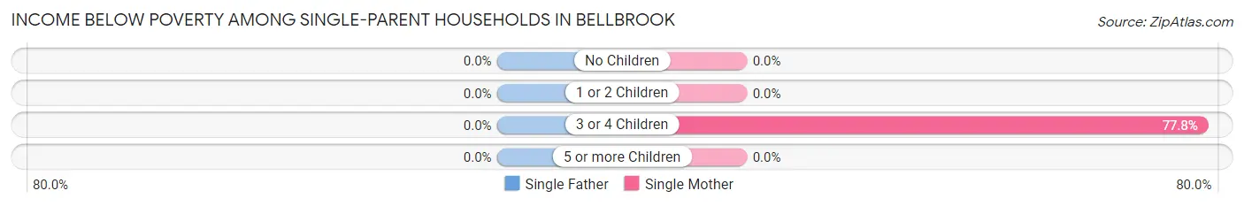 Income Below Poverty Among Single-Parent Households in Bellbrook