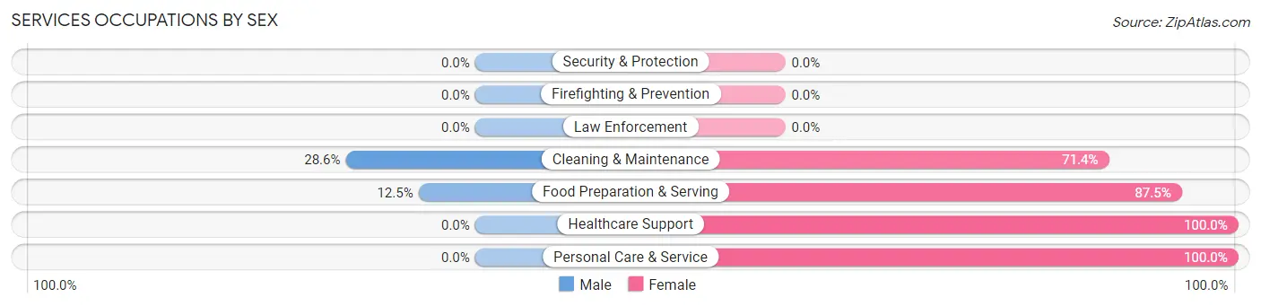 Services Occupations by Sex in Belle Center