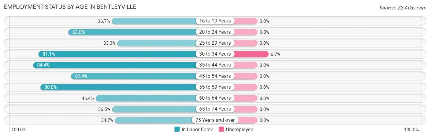 Employment Status by Age in Bentleyville