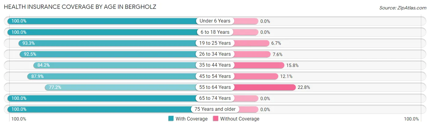 Health Insurance Coverage by Age in Bergholz