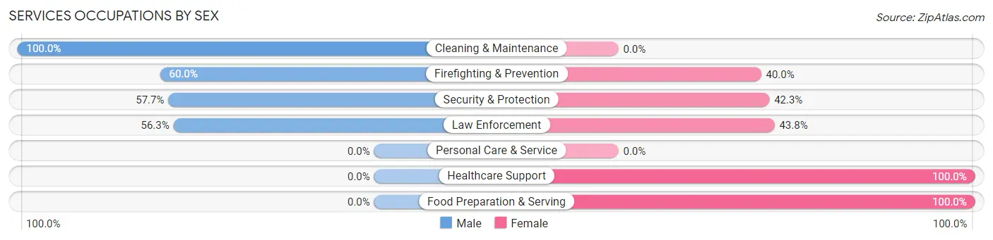 Services Occupations by Sex in Bergholz