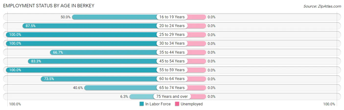 Employment Status by Age in Berkey