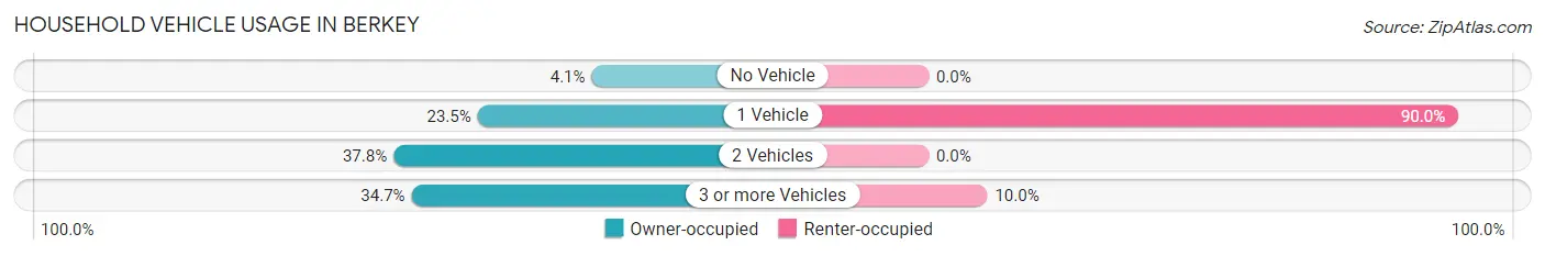 Household Vehicle Usage in Berkey