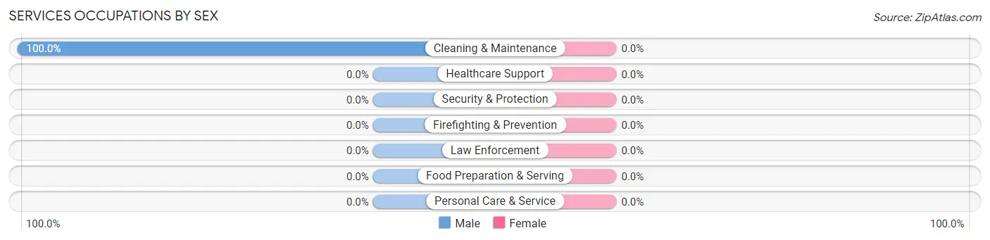 Services Occupations by Sex in Beulah Beach