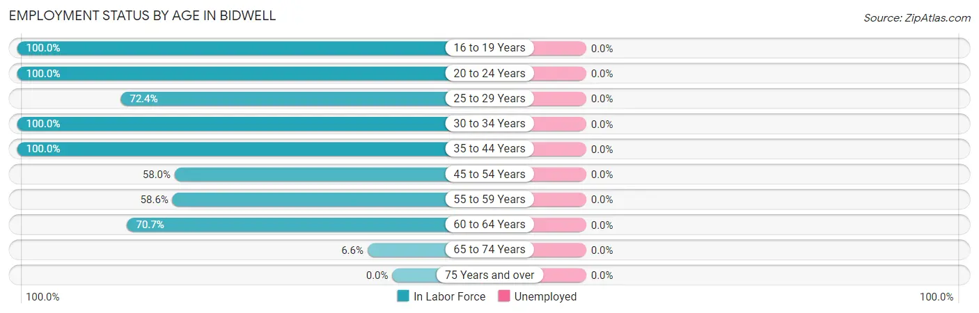 Employment Status by Age in Bidwell