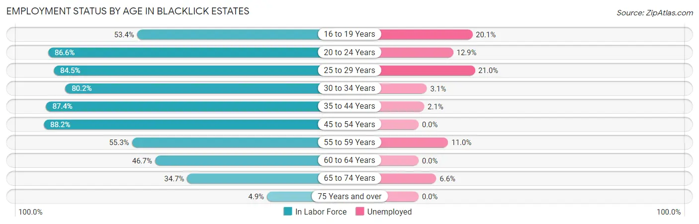 Employment Status by Age in Blacklick Estates