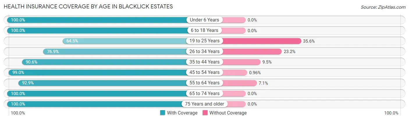 Health Insurance Coverage by Age in Blacklick Estates