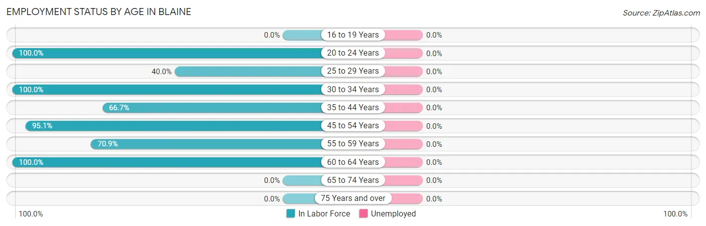 Employment Status by Age in Blaine