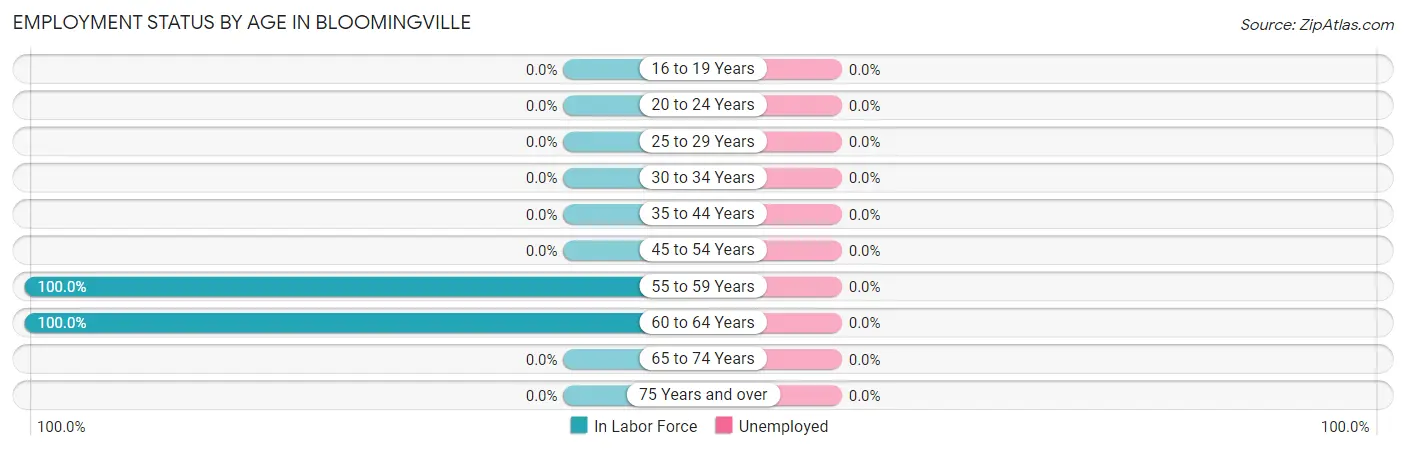 Employment Status by Age in Bloomingville