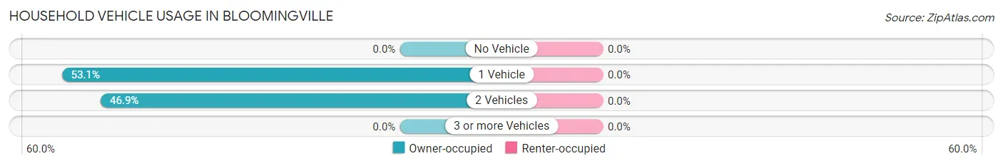 Household Vehicle Usage in Bloomingville