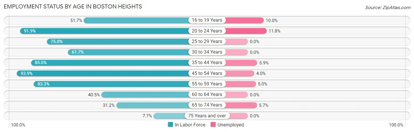 Employment Status by Age in Boston Heights
