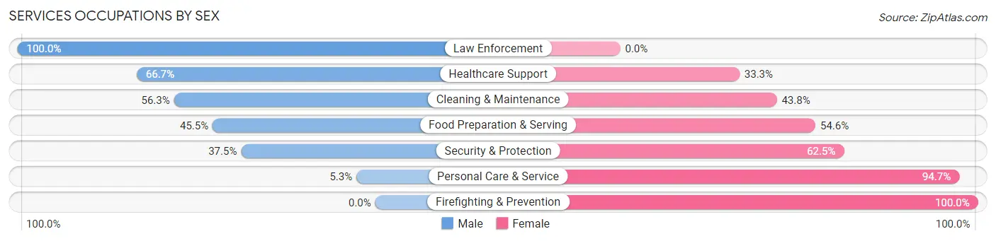 Services Occupations by Sex in Boston Heights