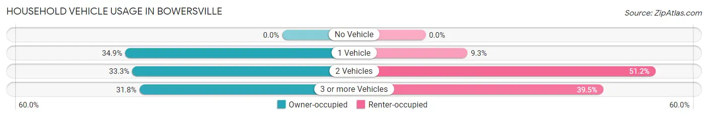 Household Vehicle Usage in Bowersville