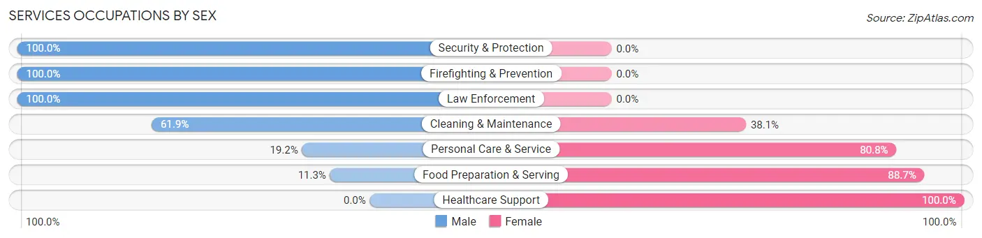 Services Occupations by Sex in Bradford