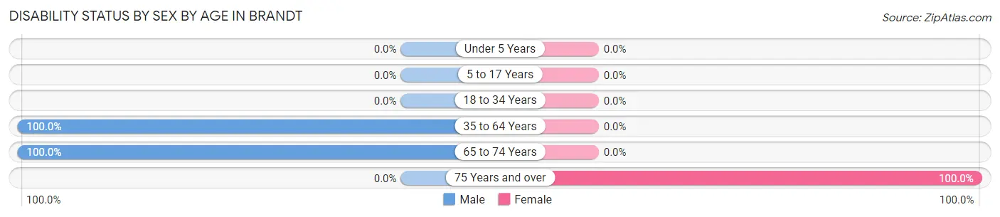 Disability Status by Sex by Age in Brandt
