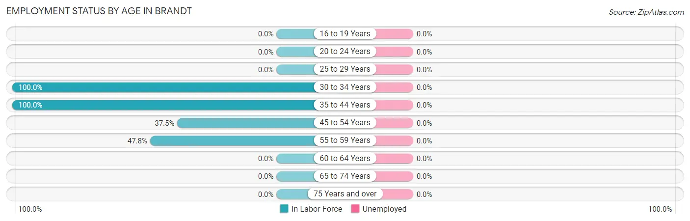 Employment Status by Age in Brandt