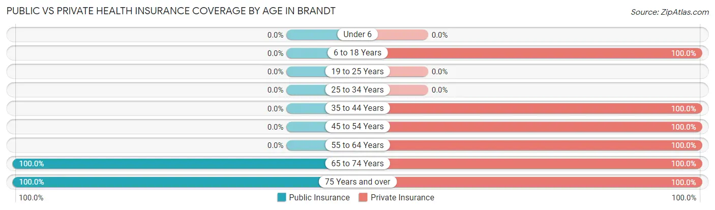Public vs Private Health Insurance Coverage by Age in Brandt