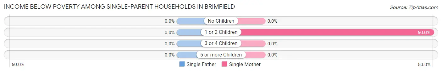 Income Below Poverty Among Single-Parent Households in Brimfield