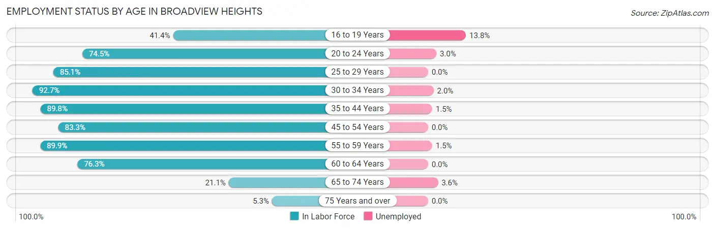 Employment Status by Age in Broadview Heights