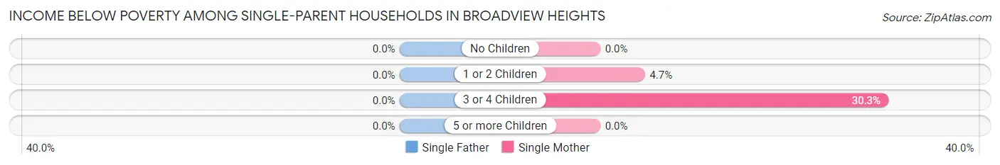 Income Below Poverty Among Single-Parent Households in Broadview Heights