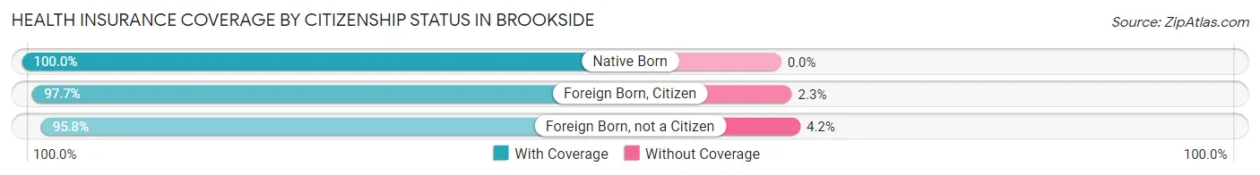 Health Insurance Coverage by Citizenship Status in Brookside