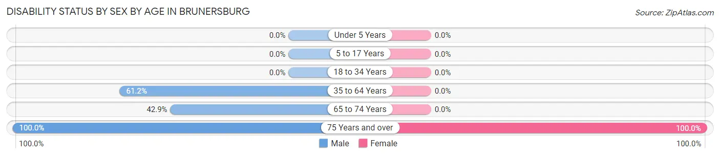 Disability Status by Sex by Age in Brunersburg