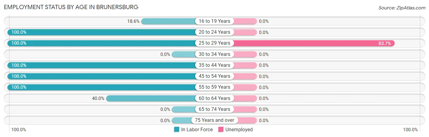 Employment Status by Age in Brunersburg