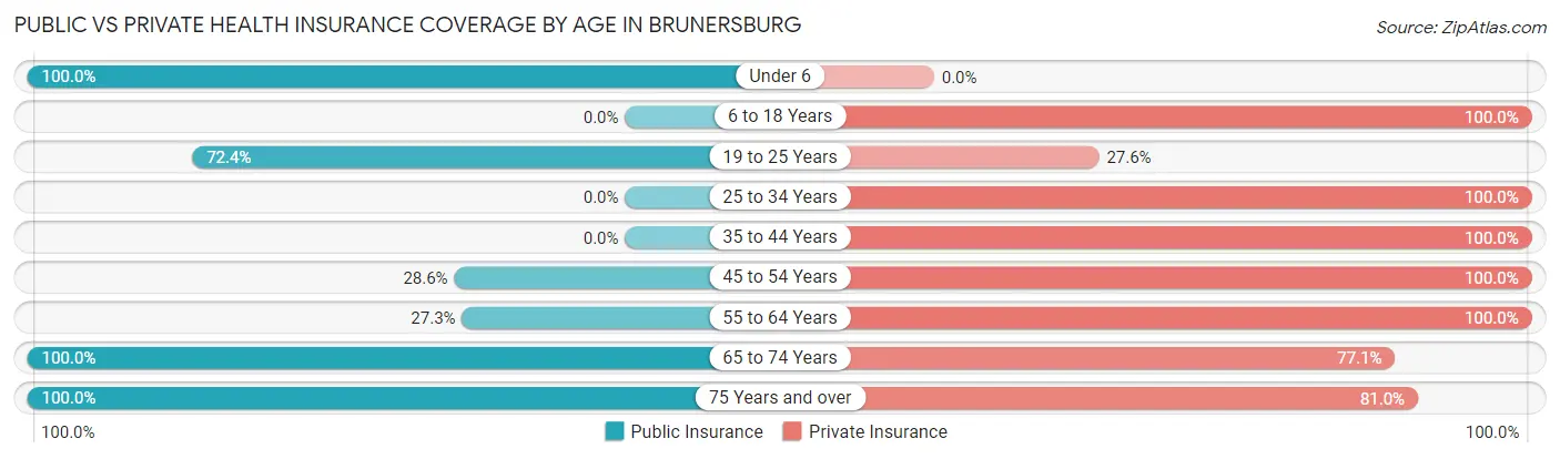 Public vs Private Health Insurance Coverage by Age in Brunersburg