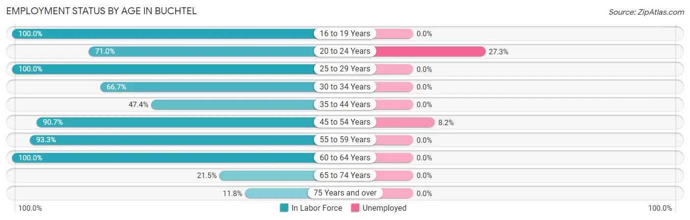 Employment Status by Age in Buchtel