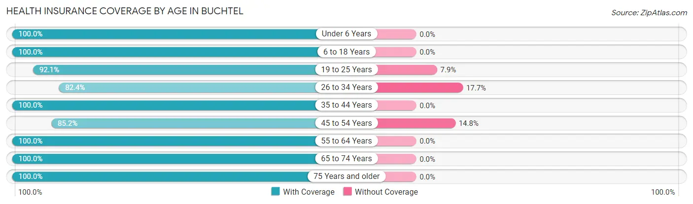 Health Insurance Coverage by Age in Buchtel