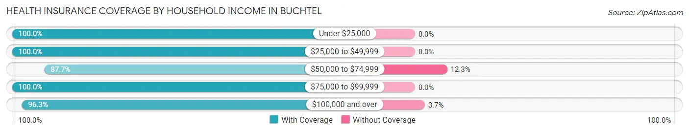 Health Insurance Coverage by Household Income in Buchtel