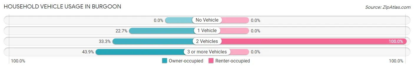 Household Vehicle Usage in Burgoon
