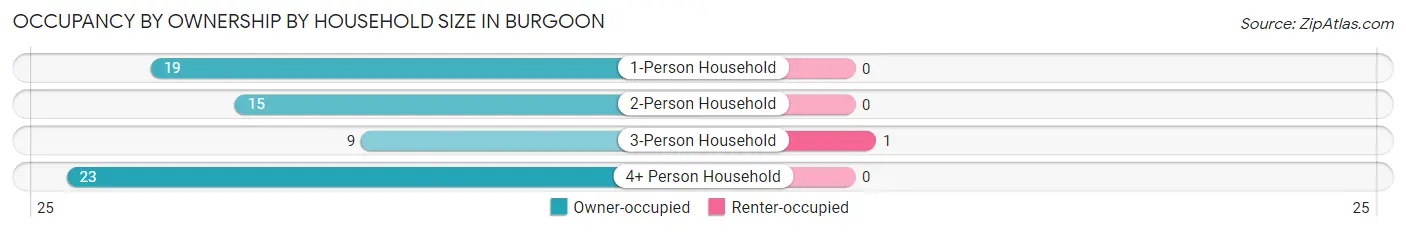 Occupancy by Ownership by Household Size in Burgoon