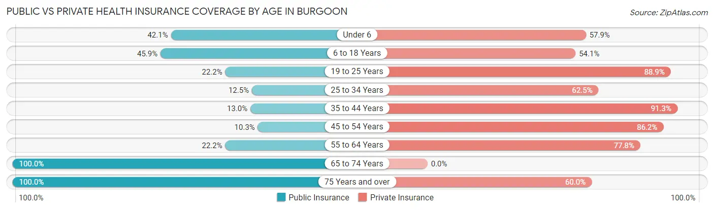 Public vs Private Health Insurance Coverage by Age in Burgoon