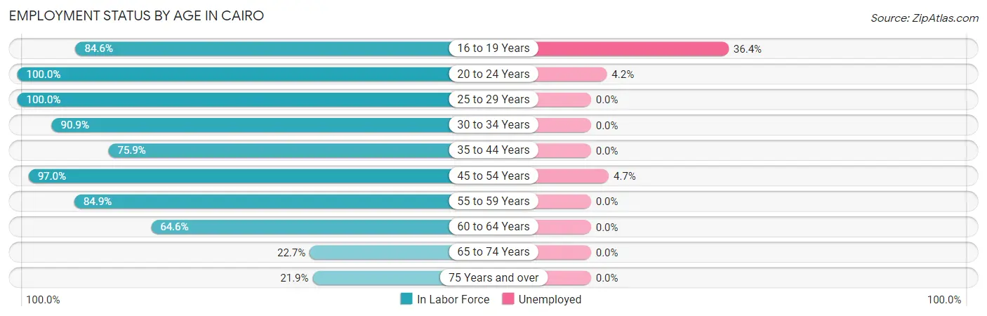Employment Status by Age in Cairo