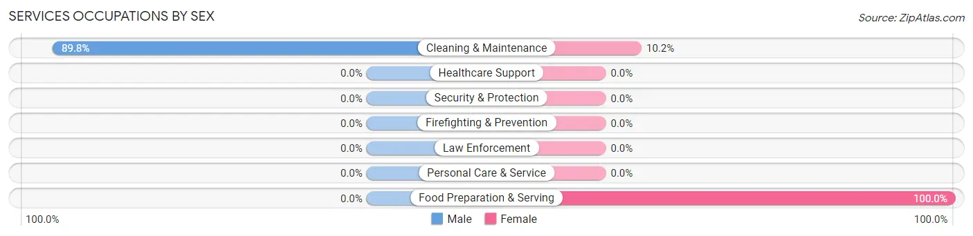 Services Occupations by Sex in Cairo