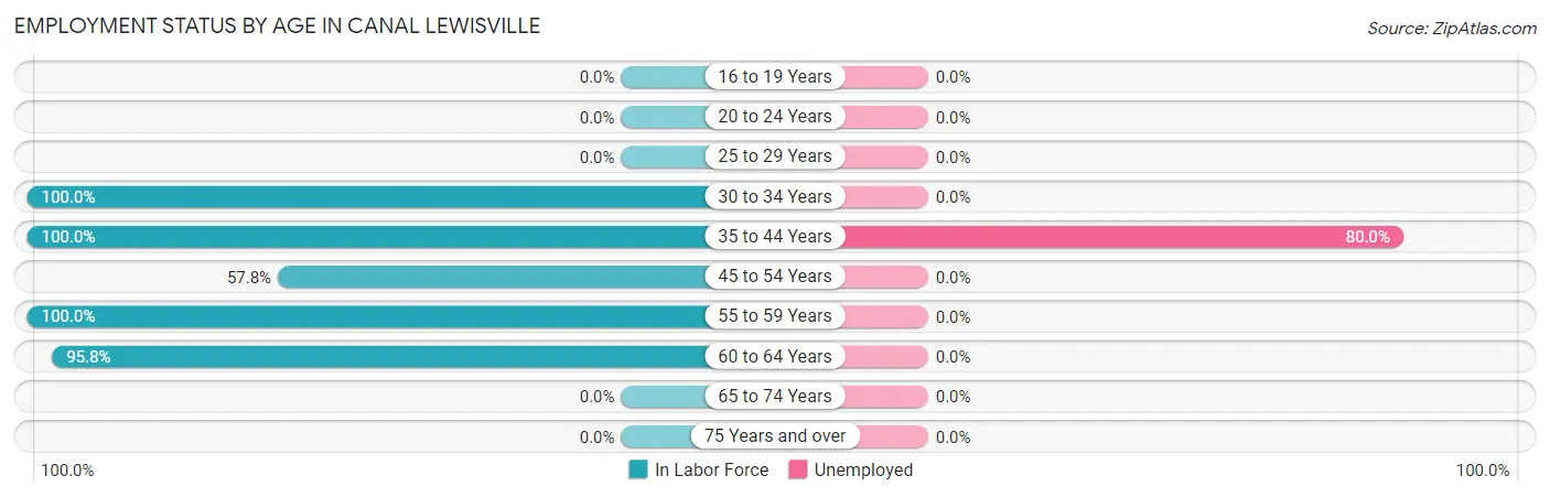 Employment Status by Age in Canal Lewisville