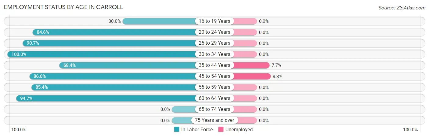 Employment Status by Age in Carroll