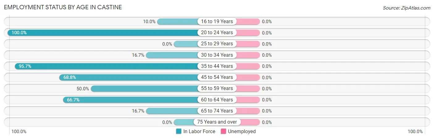 Employment Status by Age in Castine