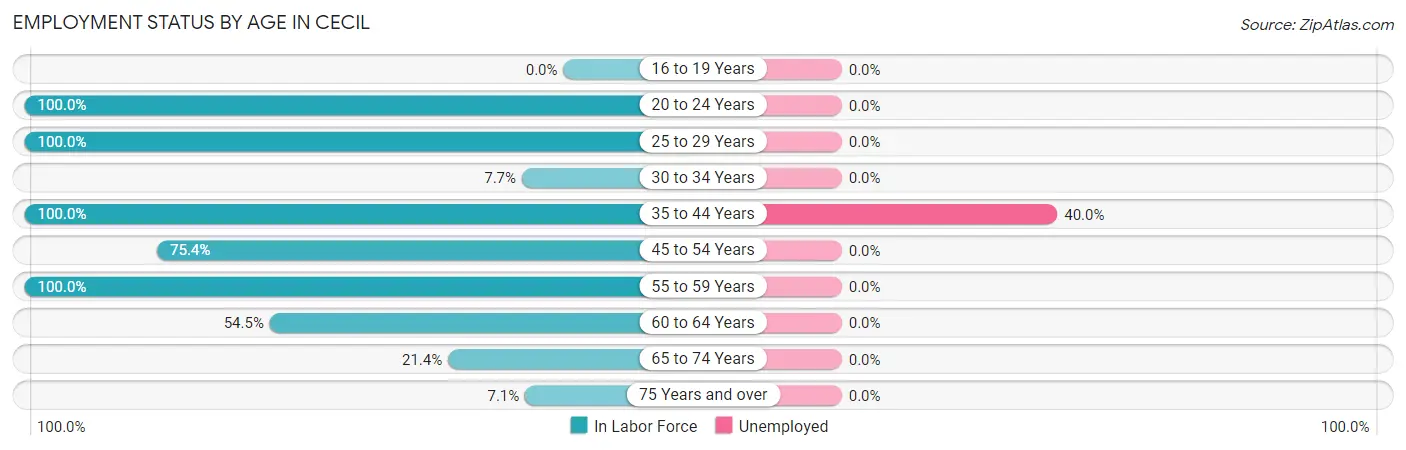 Employment Status by Age in Cecil