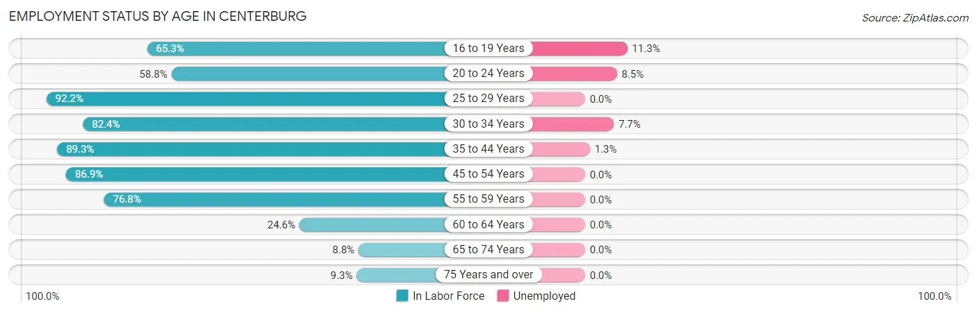 Employment Status by Age in Centerburg