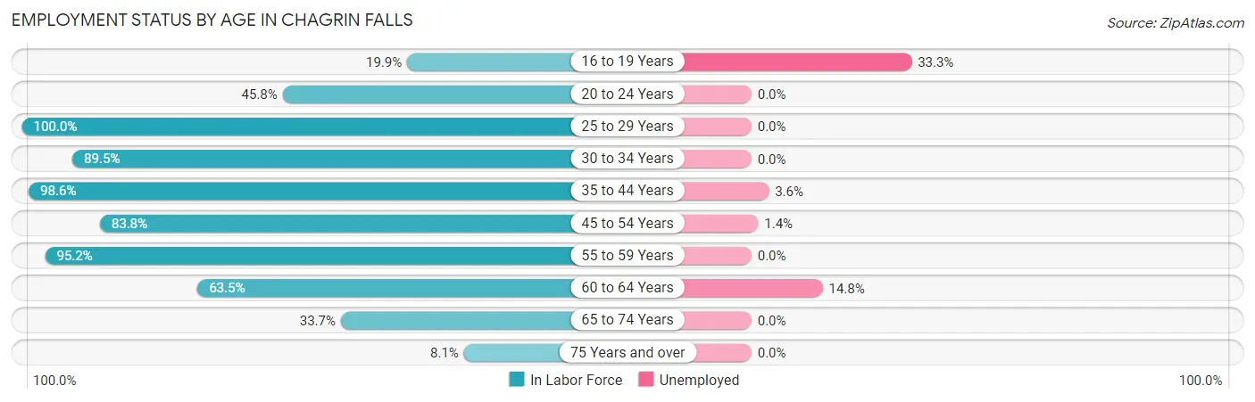 Employment Status by Age in Chagrin Falls