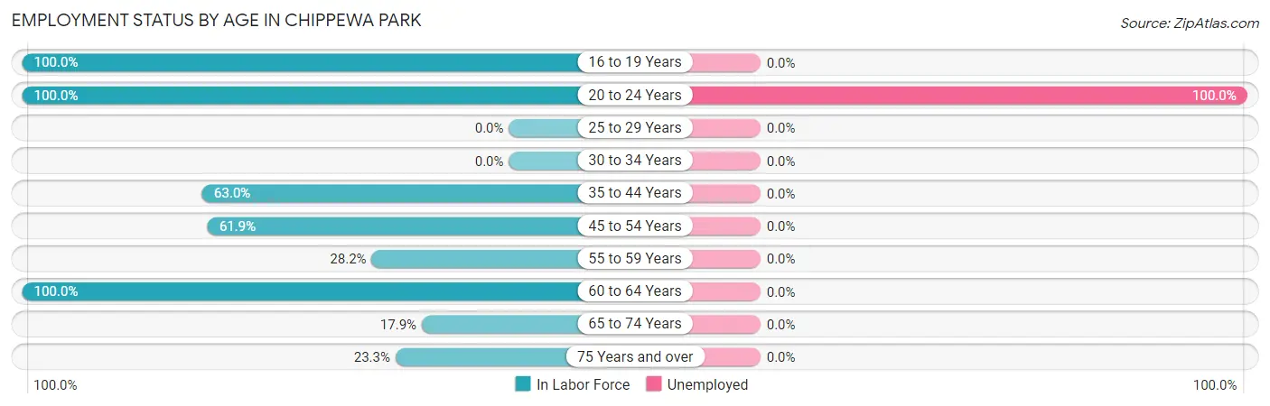 Employment Status by Age in Chippewa Park