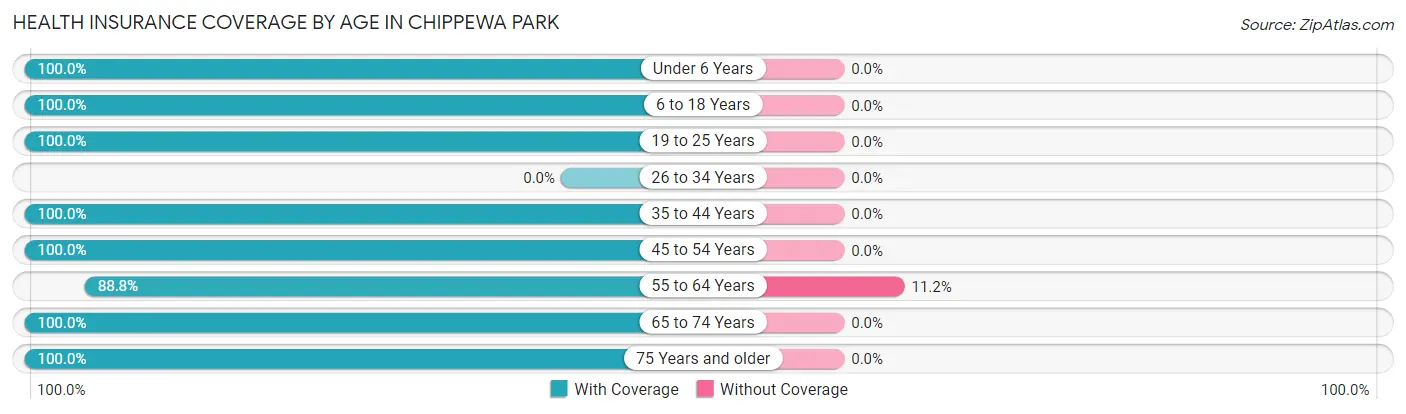 Health Insurance Coverage by Age in Chippewa Park