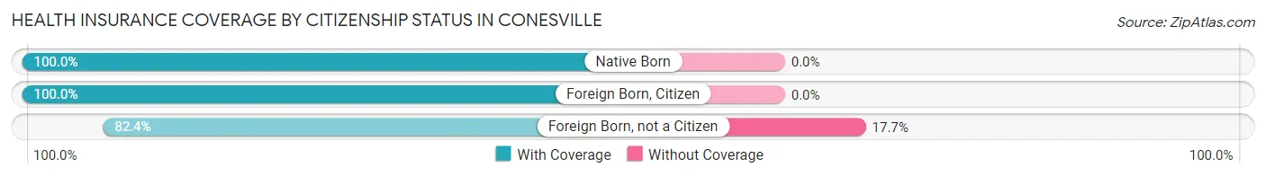 Health Insurance Coverage by Citizenship Status in Conesville