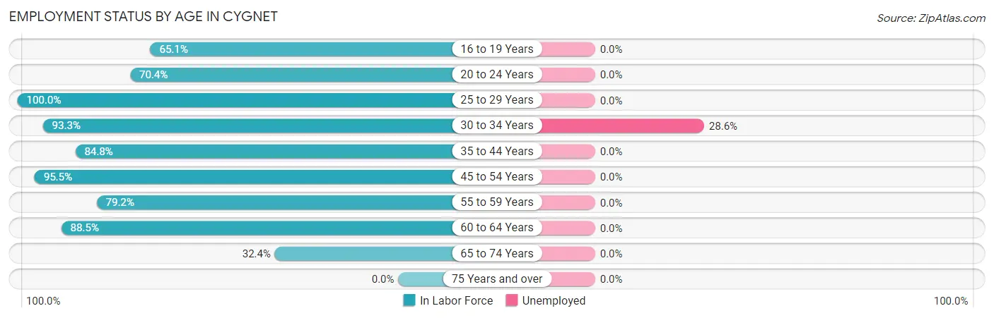 Employment Status by Age in Cygnet